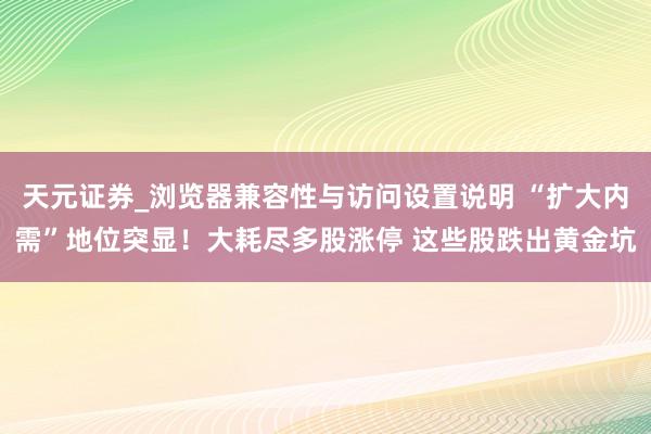 天元证券_浏览器兼容性与访问设置说明 “扩大内需”地位突显！大耗尽多股涨停 这些股跌出黄金坑