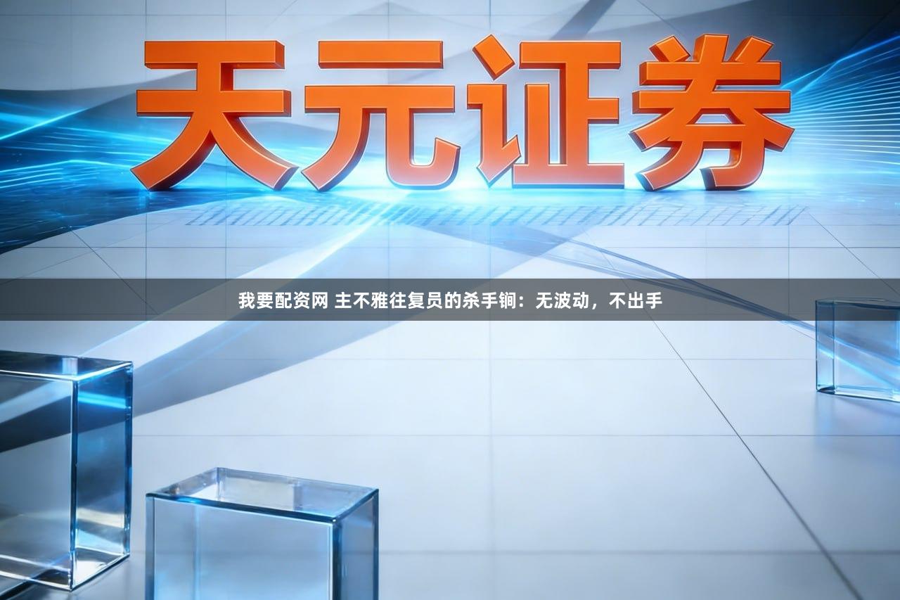 我要配资网 主不雅往复员的杀手锏：无波动，不出手