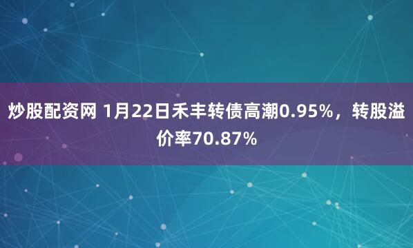 炒股配资网 1月22日禾丰转债高潮0.95%，转股溢价率70.87%